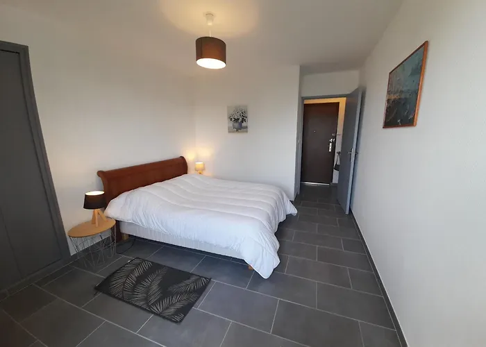 T2 Lumineux Avec Wi-fi Au Centre De - Fr-1-541-124 * La Roche-Posay