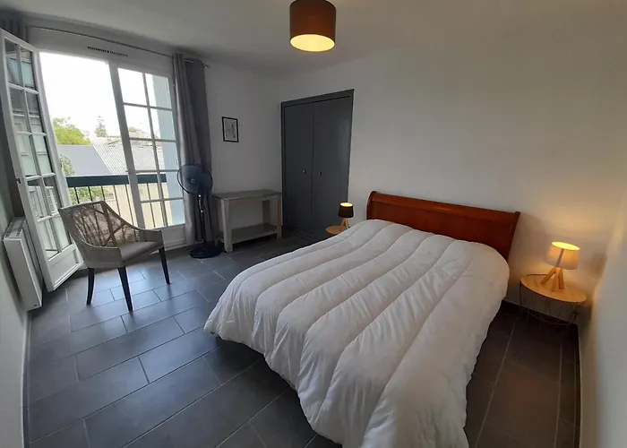 Apartamento T2 Lumineux Avec Wi-fi Au Centre De - Fr-1-541-124 *