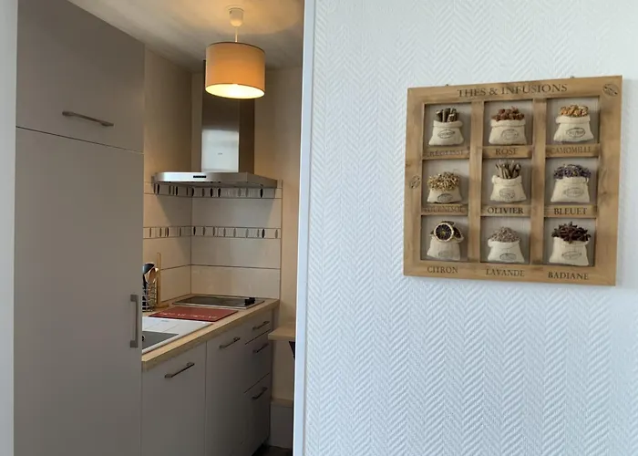 T2 Lumineux Avec Wi-fi Au Centre De - Fr-1-541-124 La Roche-Posay