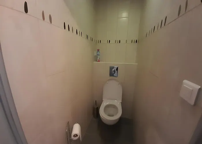 Apartamento T2 Lumineux Avec Wi-fi Au Centre De - Fr-1-541-124